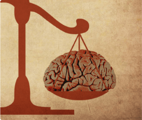 Brain Development and the Law